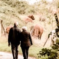 How to Achieve a Comfortable Retirement Income for Couples